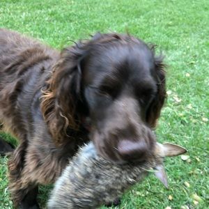 Meet your Posher, Mike